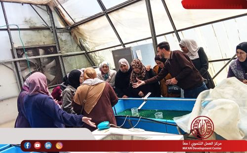 MA’AN Development Center Strengthens Food Security Through Spirulina Production Training