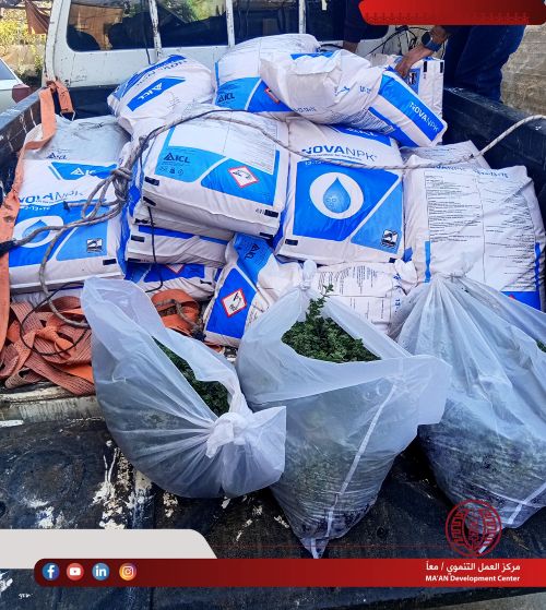 MA’AN Development Center distributed agricultural inputs in Tamoun town